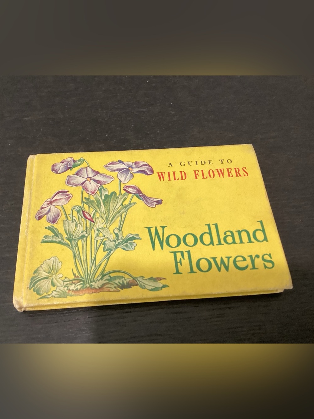 Vtg. 1945 miniature pocket guide book titled Woodland Flower Guide to Wild Flowe